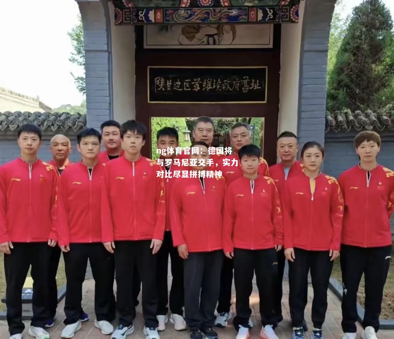 德国将与罗马尼亚交手，实力对比尽显拼搏精神