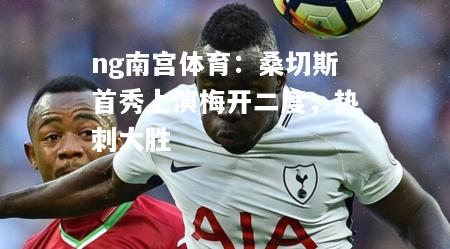 ng南宫体育：桑切斯首秀上演梅开二度，热刺大胜